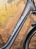 Gazelle Orange Plus, Gazelle, Ophalen of Verzenden, Zo goed als nieuw, 51 tot 55 cm