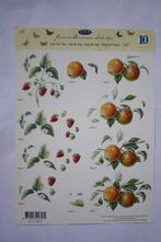 Knipvel Janneke Brinkman 7202, Verzenden, Nieuw, Natuur, Knipvel