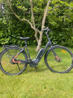 Pegasus Tecaro Elektrische Fiets, Fietsen en Brommers, Fietsen | Dames | Damesfietsen, Gebruikt, Versnellingen, 50 tot 53 cm, Ophalen