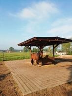Plek vrij op paddock paradise aan huis