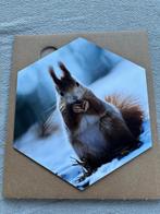 Custtom shape hexagon eekhoorn winter, Ophalen of Verzenden, Nieuw