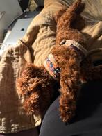 Oppas gezocht toypoedel 9 maanden omgeving Leeuwarden, Ophalen, Zo goed als nieuw