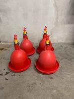 Drinktoren voor pluimvee/hobbykippen, Meerdere dieren, Kip