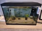 Aquarium met toebehoren, Dieren en Toebehoren, Vissen | Aquaria en Toebehoren, Ophalen of Verzenden, Zo goed als nieuw