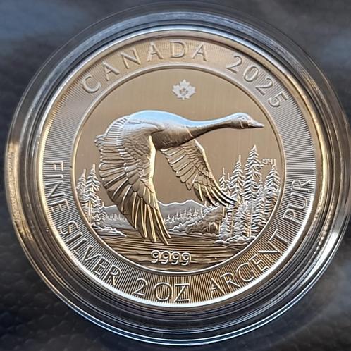 2025 Canada Goose 2 oz silver, Postzegels en Munten, Munten | Amerika, Noord-Amerika, Zilver, Verzenden