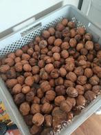 walnoten, okernoten goed gedroogd, biologisch 20  kilo, Ophalen of Verzenden