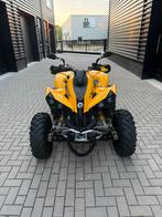 Caman renegade 800cc, 2 cilinders, Meer dan 35 kW