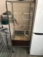 Vogelkooi, Dieren en Toebehoren, Ophalen, Gebruikt, Vogelkooi