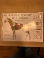 Horse Anatomy Workbook - Maggie Raynor, Boeken, Studieboeken en Cursussen, Ophalen of Verzenden, Beta, Zo goed als nieuw, HBO