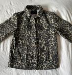 Scotch & Soda jasje xs, Overige kleuren, Scotch & Soda, Ophalen of Verzenden, Zo goed als nieuw