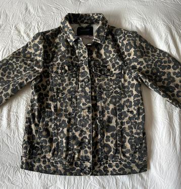 Scotch & Soda jasje xs beschikbaar voor biedingen