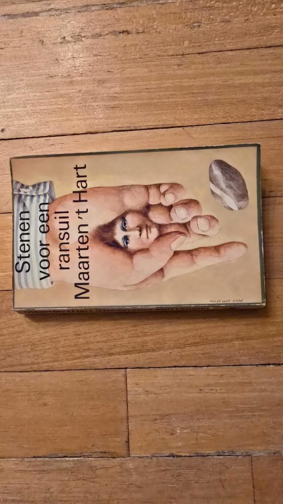 STENEN VOOR EEN RANSUIL, Boeken, Romans, Zo goed als nieuw, Ophalen of Verzenden