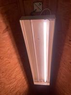 2 stuks TL-lichtbakken, Ophalen, Gebruikt, 50 tot 200 watt, Lamp met armatuur