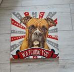 Schattige boxer, watching you., Ophalen, Minder dan 50 cm, Nieuw, Schilderij