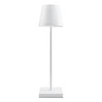 tafellamp, Huis en Inrichting, Lampen | Tafellampen, Ophalen of Verzenden, Nieuw, Overige materialen, Minder dan 50 cm