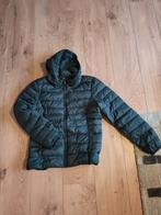 Only Donkergroene Tussenjas Maat L, Kleding | Dames, Jassen | Zomer, Only, Maat 42/44 (L), Ophalen of Verzenden, Zo goed als nieuw