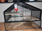 Mooie hamsterkooi, Dieren en Toebehoren, Kooi, Minder dan 75 cm, Zo goed als nieuw, Hamster