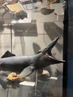 PNSO tylosaurus 1:35 model, Ophalen of Verzenden, Nieuw