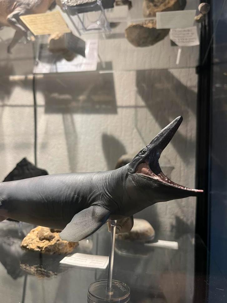 PNSO tylosaurus 1:35 model, Verzamelen, Poppetjes en Figuurtjes, Nieuw, Ophalen of Verzenden