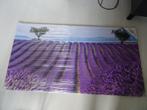 NIEUW PB-COLLECTION TUINSCHILDERIJ van €56,00 voor €25,00, Ophalen, Nieuw, Schilderij, 100 tot 125 cm