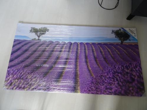 NIEUW PB-COLLECTION TUINSCHILDERIJ van €56,00 voor €25,00, Huis en Inrichting, Woonaccessoires | Schilderijen, Tekeningen en Foto's