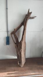 Groot stuk Aquarium terrarium hout, Ophalen, Zo goed als nieuw
