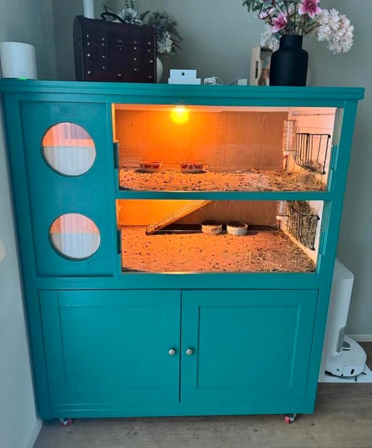 Cavia flat, Dieren en Toebehoren, Knaagdieren en Konijnen | Hokken en Kooien, Zo goed als nieuw, Hok, 90 cm of meer, 110 cm of meer