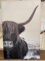 Mooie Schotse Hooglander Print, Ophalen, Oorspronkelijke maker, 75 cm of meer, 50 tot 75 cm