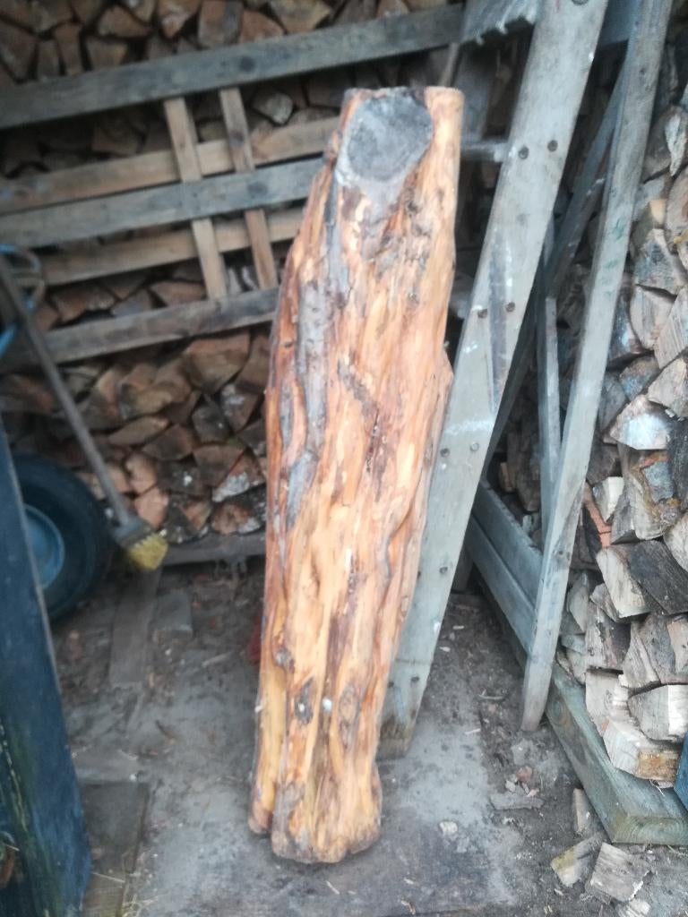 taxushout, Doe-het-zelf en Verbouw, Hout en Planken, Ophalen, Gebruikt, Overige typen, 50 mm of meer