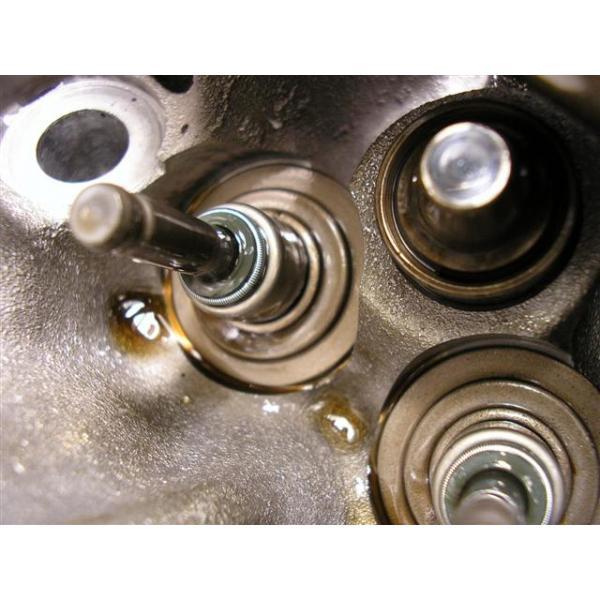 Klepseals vervangen BMW, Auto-onderdelen, Motor en Toebehoren, Ophalen