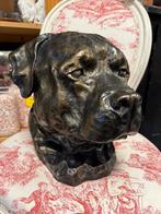 Amerikaanse stafford, Ophalen of Verzenden, Zo goed als nieuw, Dier