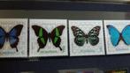 Vlinders  roemenie 2023, Dier of Natuur, Verzenden, Postfris