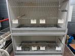 V Keulen kooien, Dieren en Toebehoren, Vogels | Hokken en Kooien, Ophalen, Zo goed als nieuw, Broedkooi of Kweekkooi
