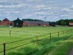 merrieveulen opfok met aandacht voor jou veulen, Dieren en Toebehoren, Stalling en Weidegang, Opfok, 2 of 3 paarden of pony's