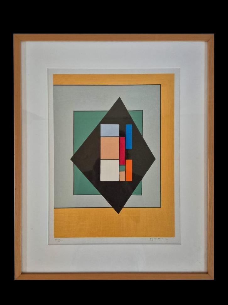 Prachtige zeefdruk van Guy vanderbranden Construction 3, Antiek en Kunst, Kunst | Litho's en Zeefdrukken, Ophalen of Verzenden