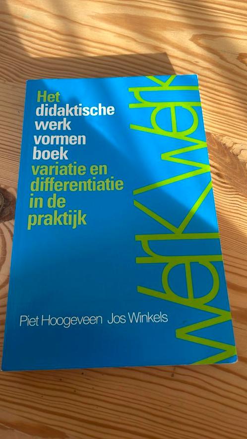 P. Hoogeveen - Het didaktische werkvormenboek, Boeken, Schoolboeken, Zo goed als nieuw, Nederlands, Overige niveaus, Ophalen of Verzenden