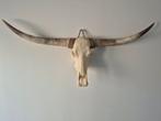 Longhorn schedel, Ophalen, Zo goed als nieuw
