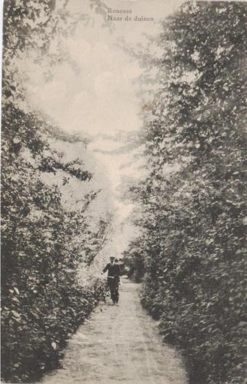 woz076 Renesse Naar de duinen 1919 gelopen  beschikbaar voor biedingen