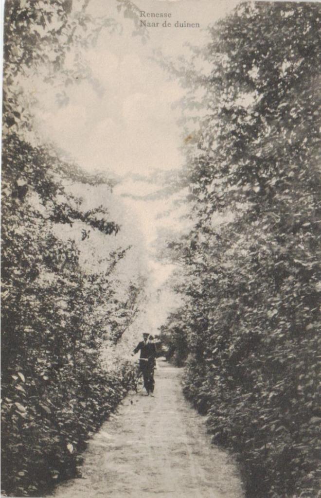 woz076 Renesse Naar de duinen 1919 gelopen, Verzamelen, Ansichtkaarten | Nederland, Gelopen, Zeeland, Voor 1920, Ophalen of Verzenden