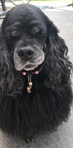 Tekenketting met EMX-kralen - nieuw, Verzenden, Nieuw