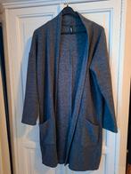 Lang vest, 2 opgestikte zakken., Ophalen of Verzenden, Gedragen, Grijs