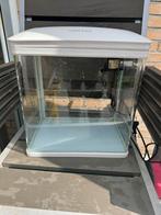 Aquarium met licht en filter pomp, Ophalen of Verzenden, Zo goed als nieuw, Leeg aquarium