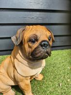 Leuke beelden koe varken geit honden kippen katten enz, Ophalen of Verzenden, Nieuw