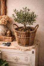 Rustieke rieten mand – boho plantenmand, Ophalen of Verzenden, Rechthoekig, Riet