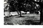 Oirsbeek, Camping "de Oude Molen", Ophalen of Verzenden, 1960 tot 1980, Ongelopen, Limburg