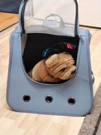 Kleine dieren vervoer rug tas nieuw, Dieren en Toebehoren, Katten-accessoires, Ophalen of Verzenden, Zo goed als nieuw