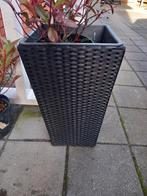 Mooie plantenbak, Ophalen, Kunststof, Minder dan 60 cm, Vierkant