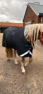 Amigo horseware 100grams deken 5,9, Dieren en Toebehoren, Paarden en Pony's | Dekens en Dekjes, Ophalen of Verzenden, Deken, Zo goed als nieuw