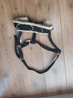 kaptoom te koop, Dieren en Toebehoren, Ophalen of Verzenden, Overige soorten