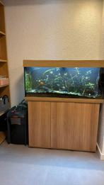 Te koop juwel rio 180 compleet incl vissen, Dieren en Toebehoren, Vissen | Aquaria en Toebehoren, Ophalen, Zo goed als nieuw, Gevuld zoetwateraquarium